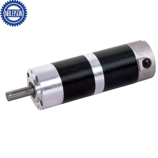 PG82-80ZY115 Dc Planetary Gear Motor